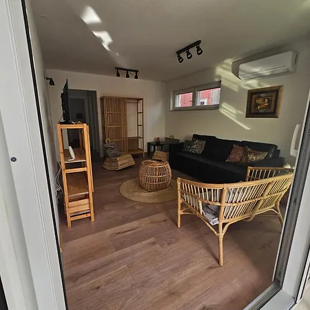 Regina Rex With Swimming Pool