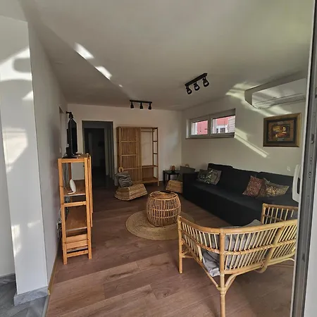 Regina Rex With Swimming Pool