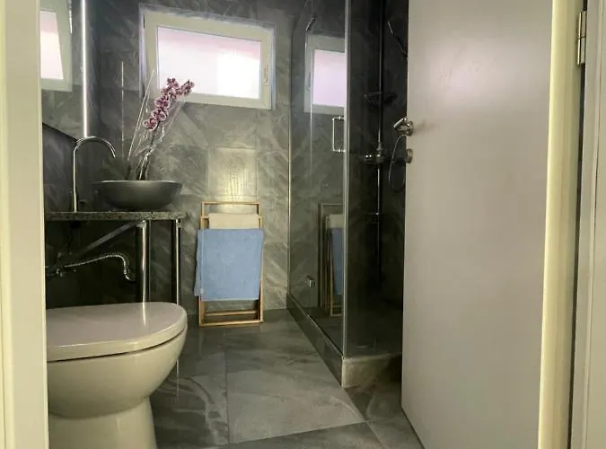 Regina Rex With Swimming Pool *